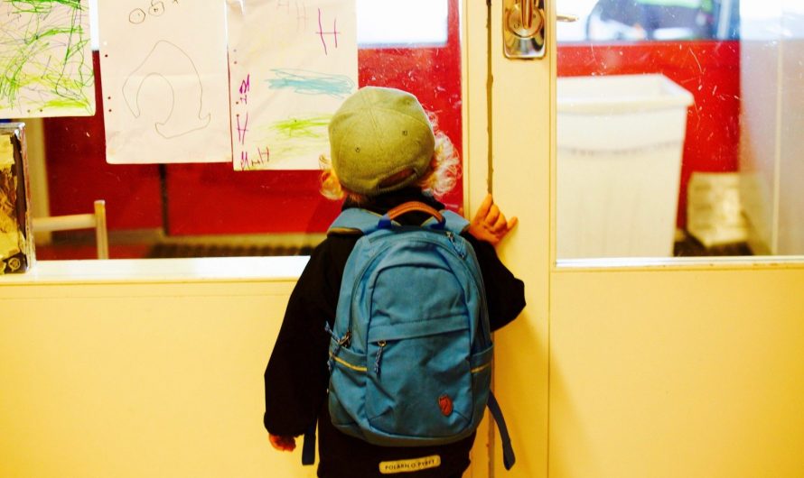 Programmes et horaires à l’école maternelle